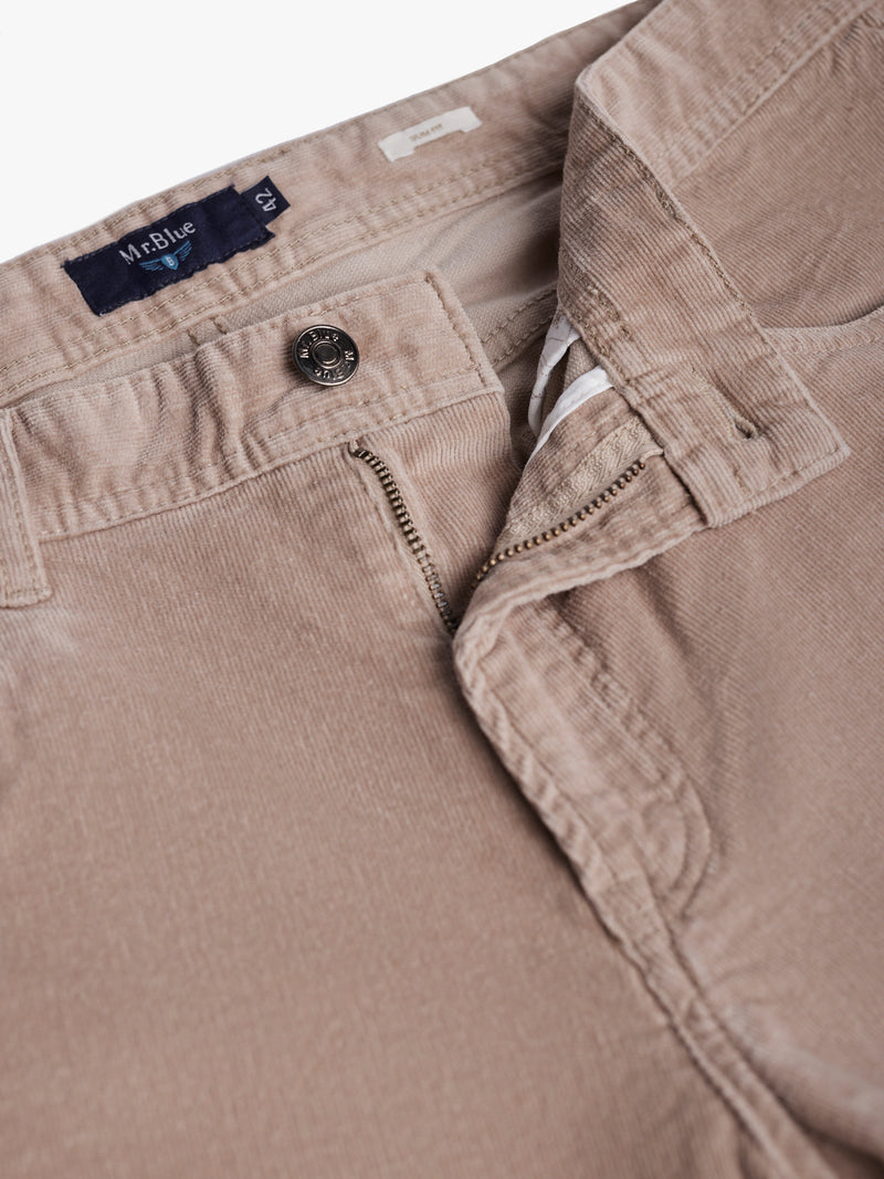 Beige Slim Fit Chinos