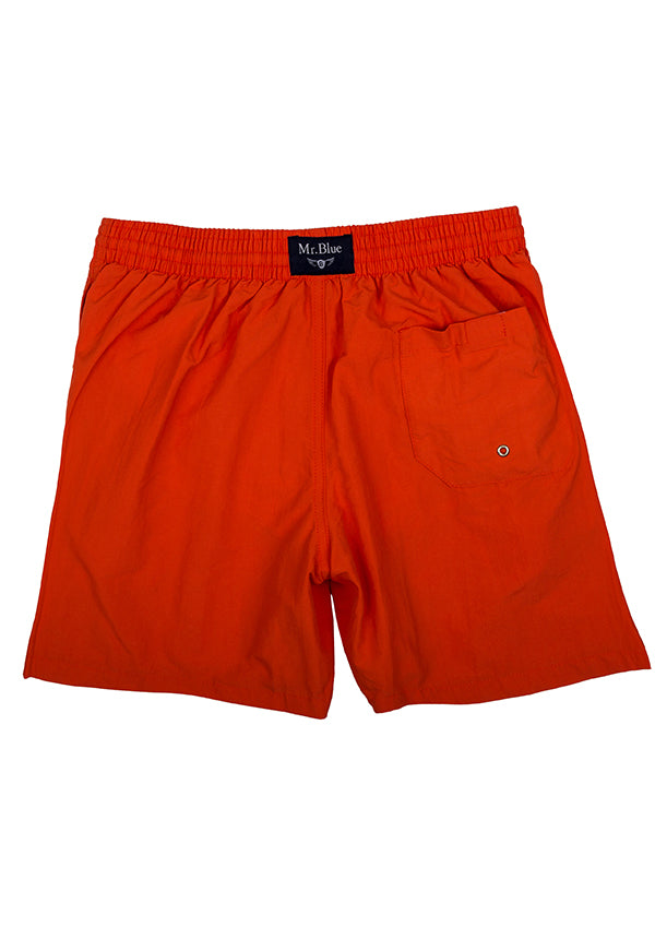 Classic Small Square Swimming Shorts