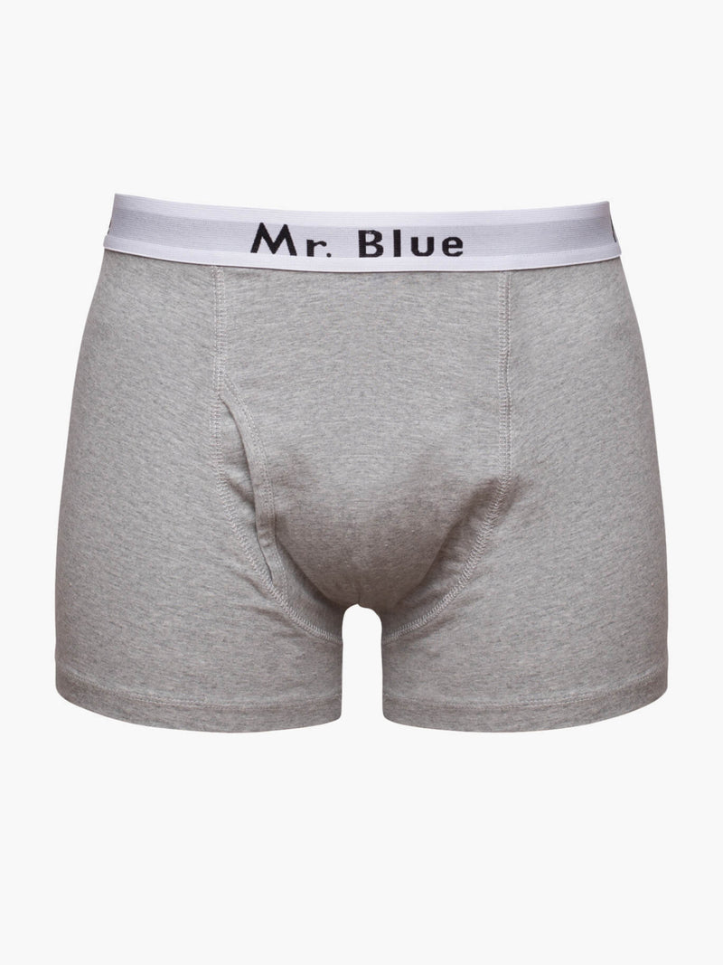 Gray righteous boxers