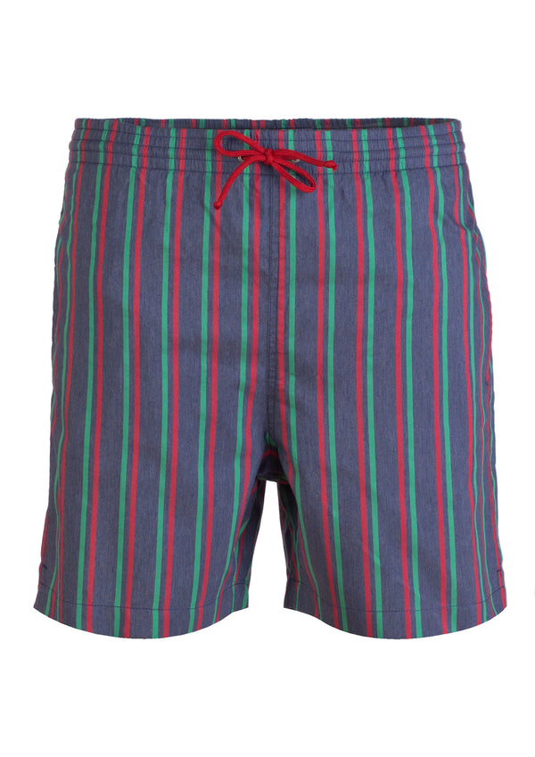 Blue Green Red Swimming Shorts