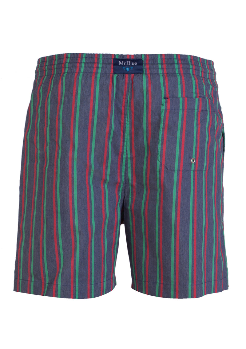 Blue Green Red Swimming Shorts