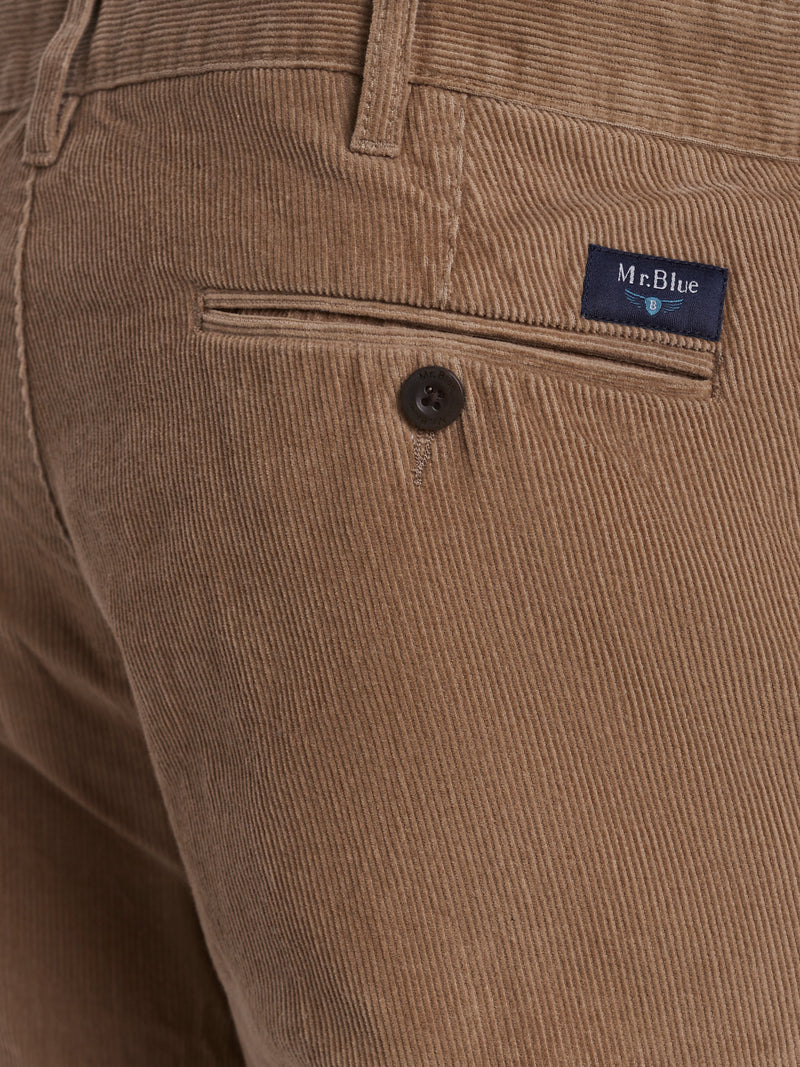 Regular Fit Beige Bombazine Trousers