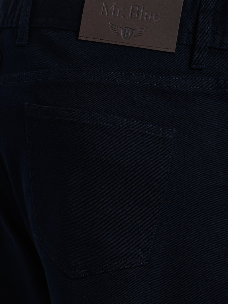 Blue Regular Fit Twill Chinos