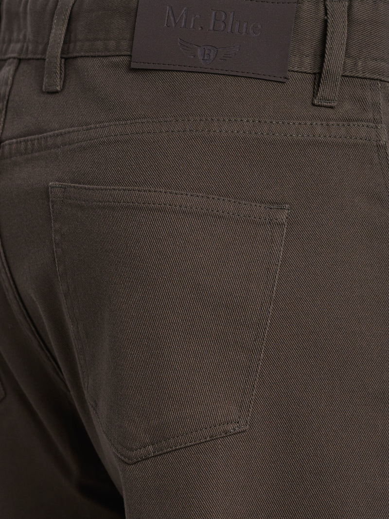 Regular Fit Twill Green Chinos