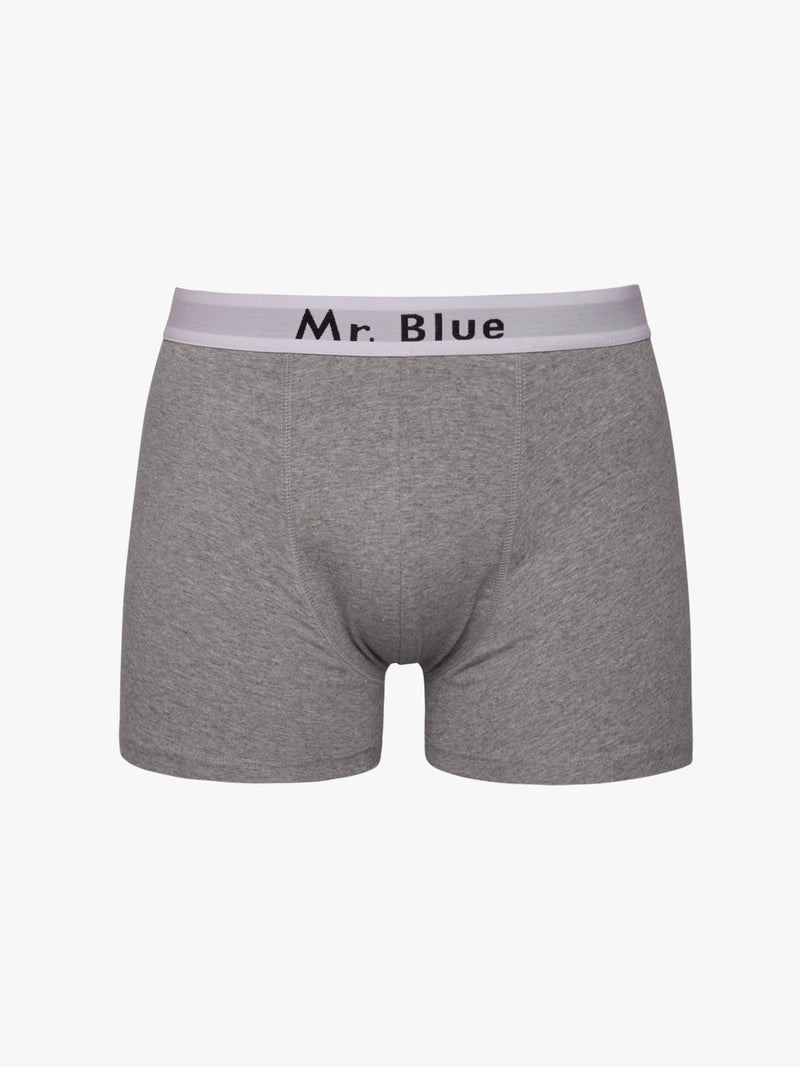 Gray righteous boxers