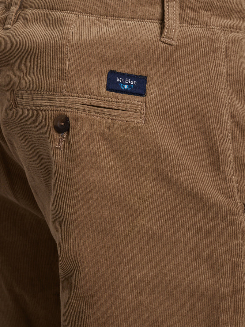 Regular Fit Beige Bombazine Trousers